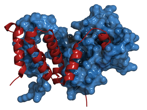 Multiple myeloma antibody treatment