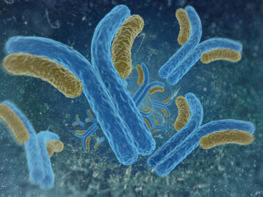 Darzalex Phase 3 trial