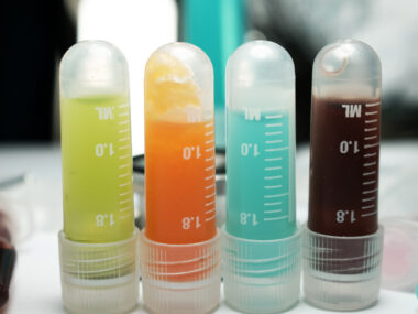 WT1 Anti-Cancer Vaccine