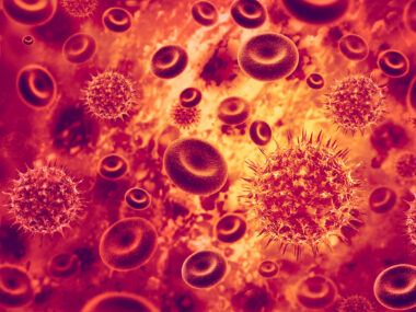 Rabbit virus hammers myeloma