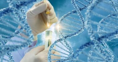 genetic test for high-risk myeloma