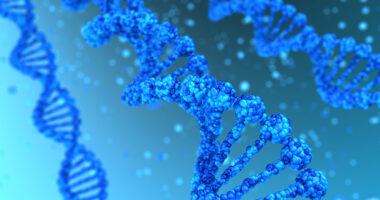 genes and disease progression