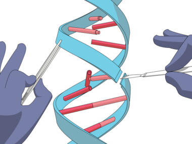 CRISPR gene editing myeloma immunotherapy.