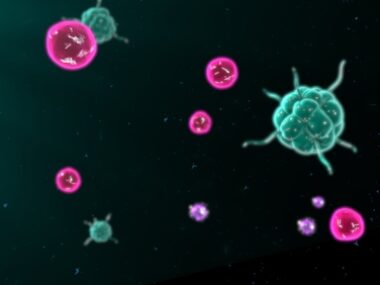 UCARTCS1 MELANI-01 trial