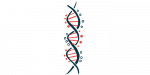 multiple myeloma classifications | Myeloma Research News | illustration of DNA