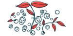 In this money grows illustration, vines are seen springing from a scattering of coins.