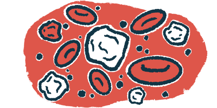 An illustration shows white and red blood cells close up.