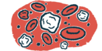 A close-up illustration shows white blood cells amid red blood cells.