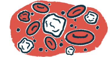 A close-up illustration shows white blood cells amid red blood cells.