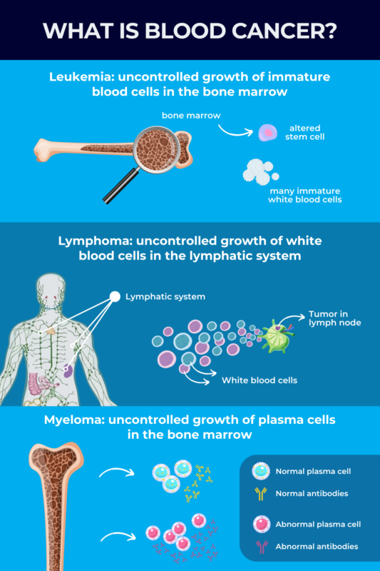 What is blood cancer infographic